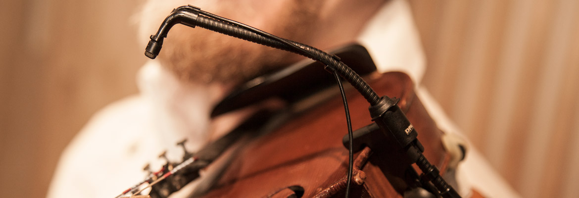 4060 Gsm1600 Violin